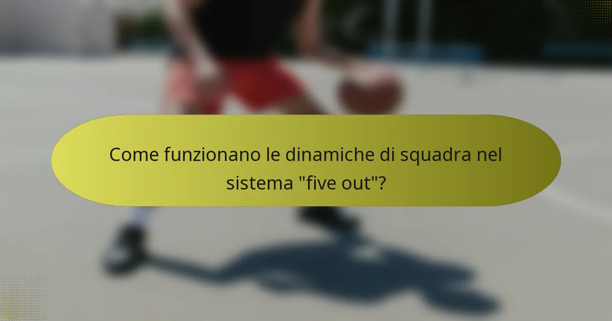 Come funzionano le dinamiche di squadra nel sistema 