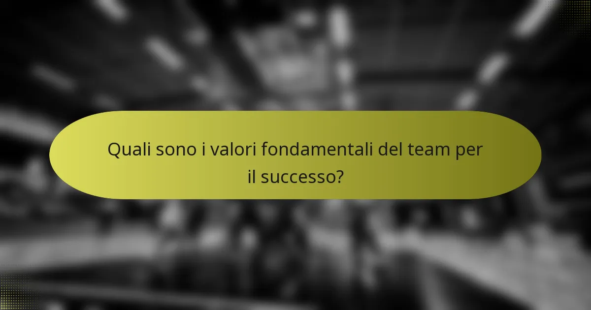 Quali sono i valori fondamentali del team per il successo?